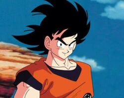 Dragon Ball Z Tournament, Toonami Wiki