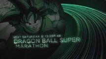 2017 Toonami Marathon Promo