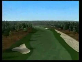 Tiger_Woods_PGA_Tour_2004_-_Toonami_Game_Review
