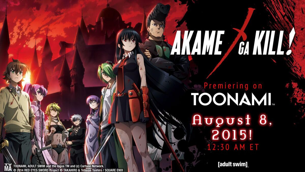 Netflix Anime U.S on X: Akame ga Kill! (24 Episodes, Dub/Sub) is