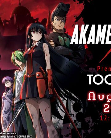 Akame Ga Kill Toonami Wiki Fandom Night raid is the covert assassination similarities: akame ga kill toonami wiki fandom