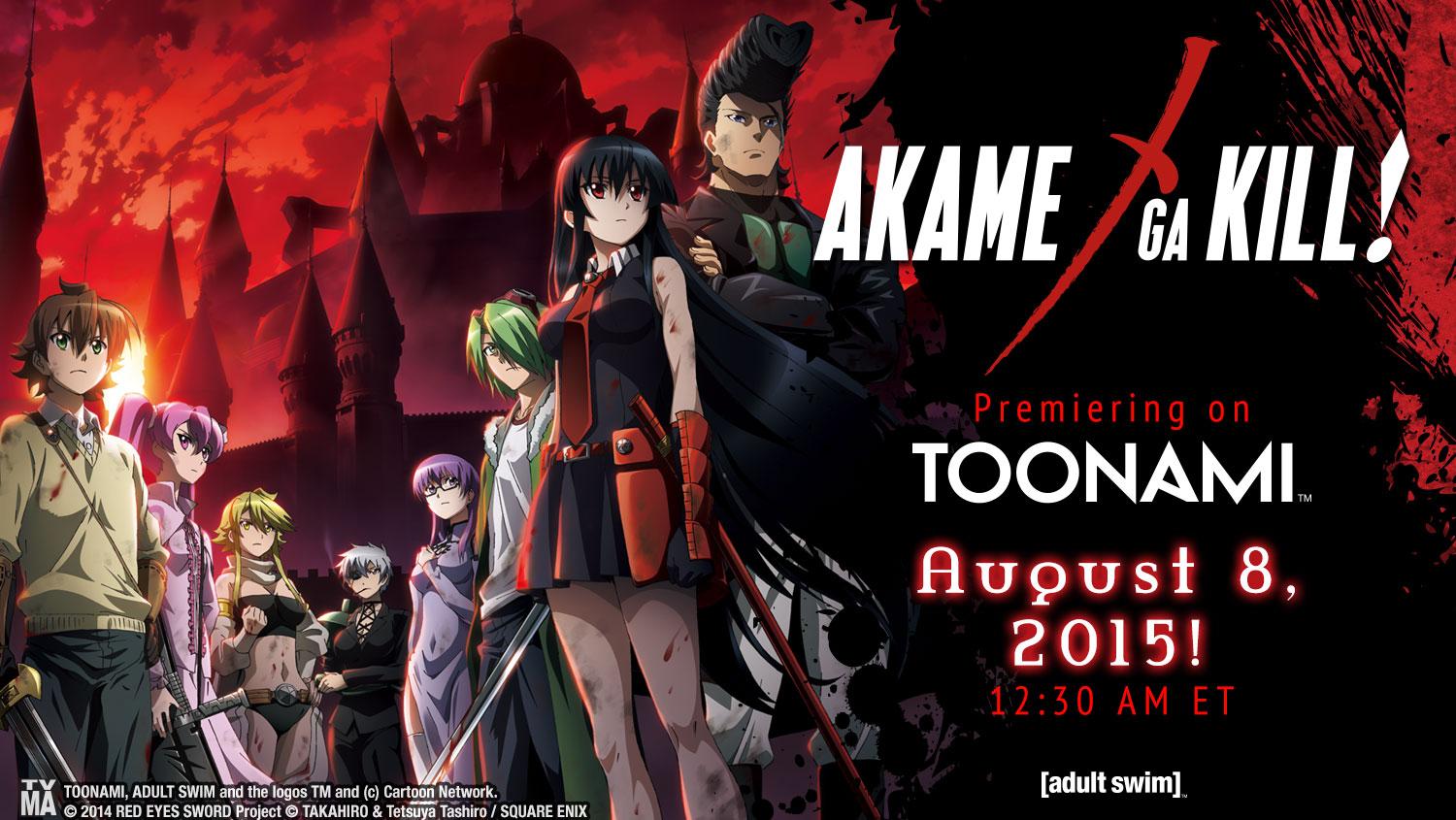 Akame ga Kill! (Serie TV) - streaming, stagioni, cast, trama