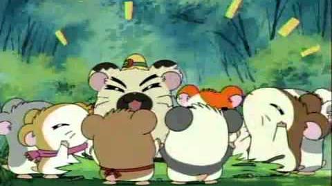 Hamtaro First Toonami Promo