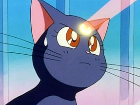 Luna.jpg (22 KB) Luna