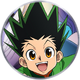 HunterxHunter Ring.png