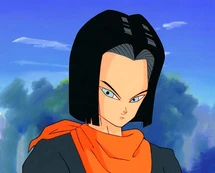 Android 17.jpg (43 KB) Android 17