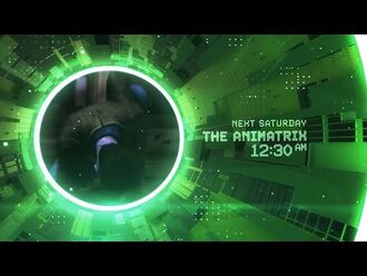 The Animatrix - Toonami Promo