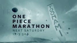 One Piece Marathon (12-26-15)