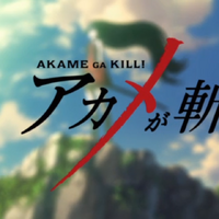 Akame Ga Kill Episodes Toonami Wiki Fandom Composed of the swordswoman akame, a young woman armed with a huge pair of scissors named sheele, the string manipulator lubbock, the armored warrior bulat, the sniper mine, the beast fighter leone and their leader najenda, night raid is also part of the revolutionary forces assembled to. akame ga kill episodes toonami wiki