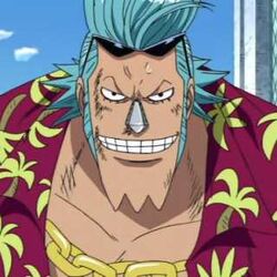 Tom Kokoro Iceburg Franky Katty Flam Water 7 One Piece