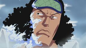 One Piece | Toonami Wiki | Fandom