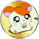 Hamtaro Ring.png