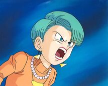 Bulma