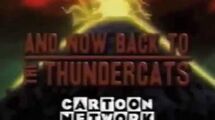 Thundercats Toonami Bumpers