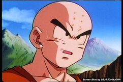 Krillin