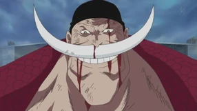 Whitebeard