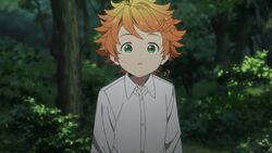 Promised Neverland Anime's English Dub Cast Revealed in Trailer - News -  Anime News Network