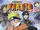 Naruto - Mission: Protect the Waterfall Village!
