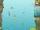 Treasure Dive