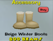 Beige Winter Boots