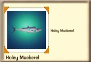 Holey Mackerel.png (77 KB)