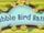 Bubble Bird Baths