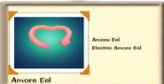 Eel Amore eel card.png Amore eel bio.png