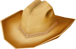 Cowboy Hat Side 1