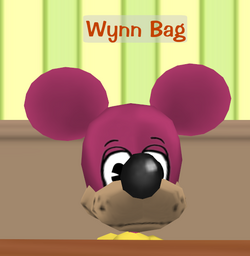 Wynn Bag