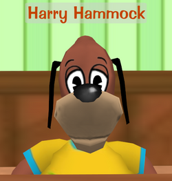 Harry Hammock