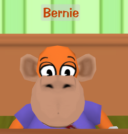 Bernie