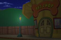 The Toontown Central Pet Shop during the night.