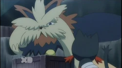 2017-11-26 0130am Pokemon the Series Sun & Moon