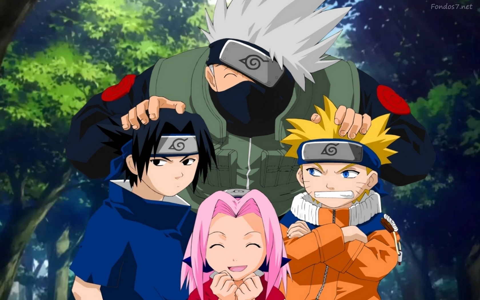 Naruto Shippuden: Anillos De Akatsuki, Origen