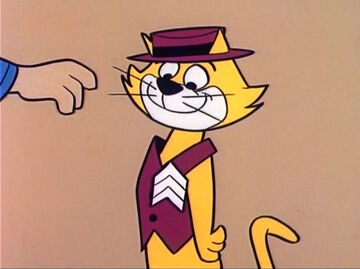 Top cat cartoon full episodes hot sale