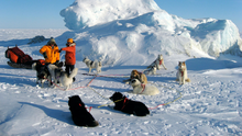 Polar Special | Top Gear Wiki | Fandom