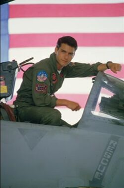 Pete Mitchell, Top Gun Wiki