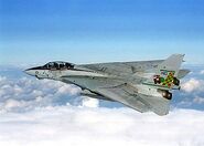 Gruman-F14-Tomcat-02.jpg (10 KB)