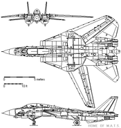 Gruman-F14-Tomcat-04.gif (11 KB)