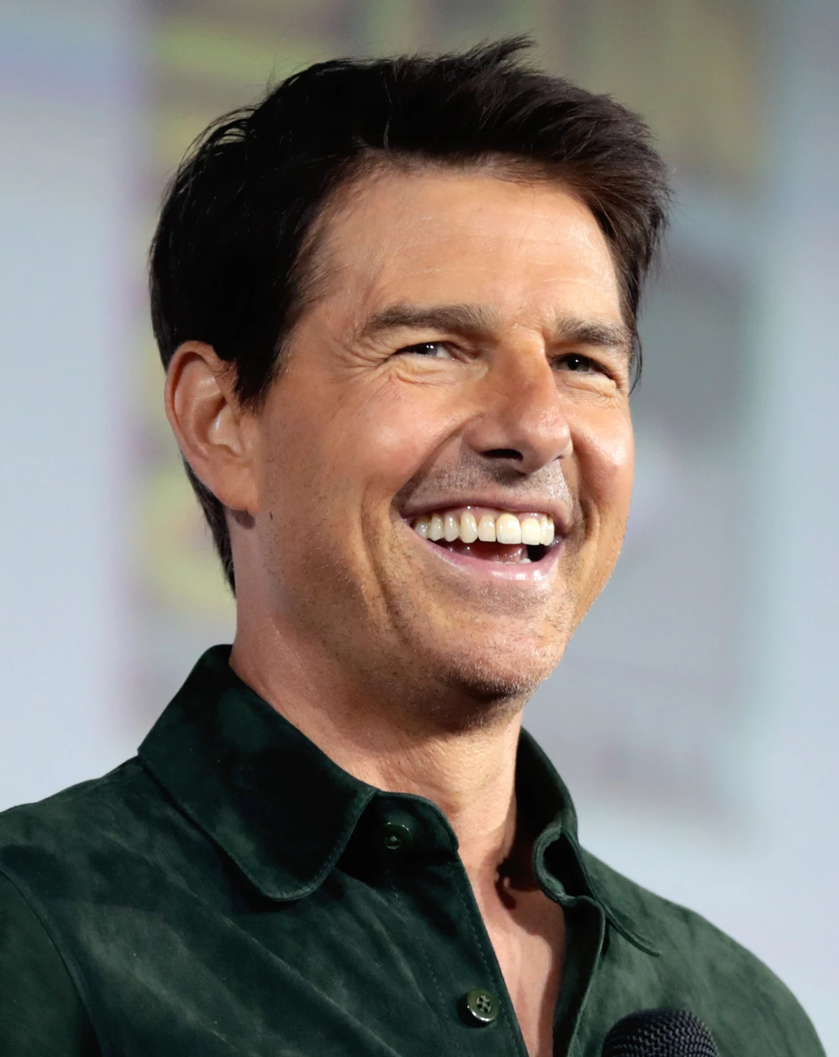 Tom Cruise Top Gun Wiki Fandom