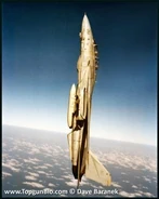 A01.jpg (19 KB) F-14 takes it into the vertical.