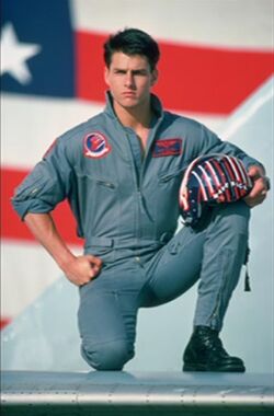 Pete Mitchell, Top Gun Wiki