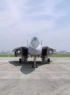 Gruman-F14-Tomcat-01.jpg (12 KB)