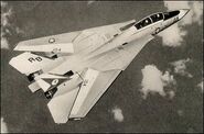 Gruman-F14-Tomcat-05.jpg (29 KB)