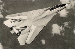 Grumman F-14 Tomcat | Top Gun Wiki | Fandom