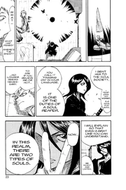 Soul Society is not a planet but a Realm.jpg