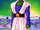 Pikkon Han