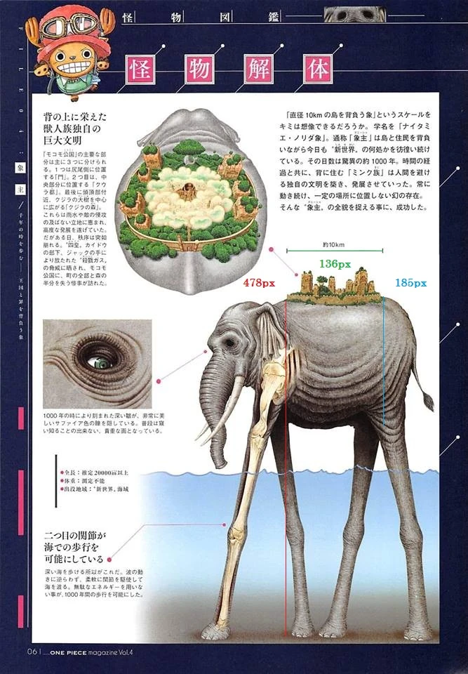 User Blog Adam Of Darkness One Piece Zou S Walk Top Strongest Wikia Fandom User Blog Adam Of Darkness One Piece Zou S Walk Top Strongest Wikia Fandom