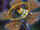 Number 9: Dyson Sphere
