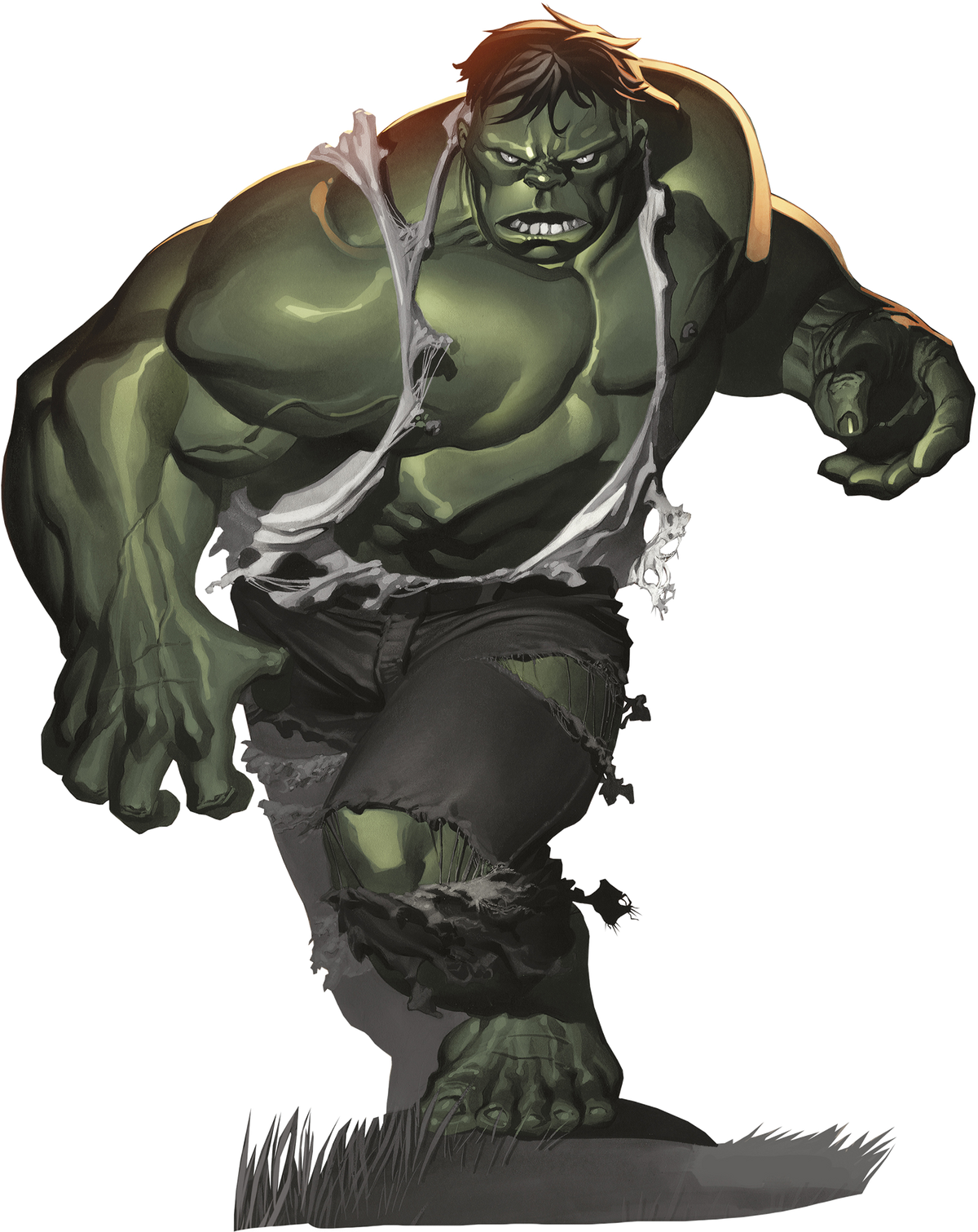 The Hulk, Character Profile Wikia